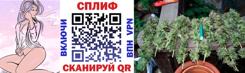 Сколько стоит Орёл Конопля  A PVP  ГАШ  COCAIN 