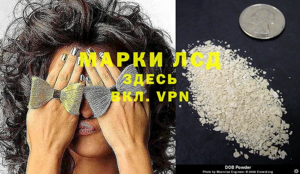 apvp Алексин